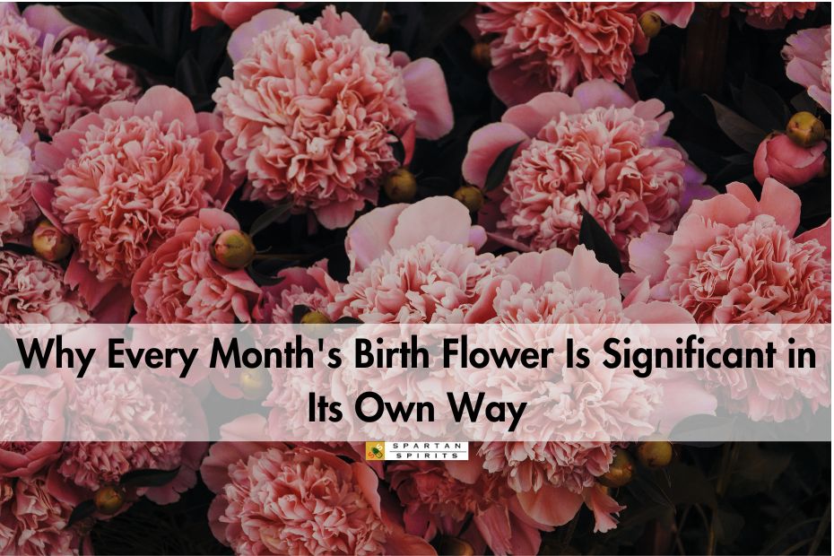 Why Every Month's Birth Flower Is Significant in Its Own Way